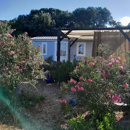 Κάμπινγκ Petit