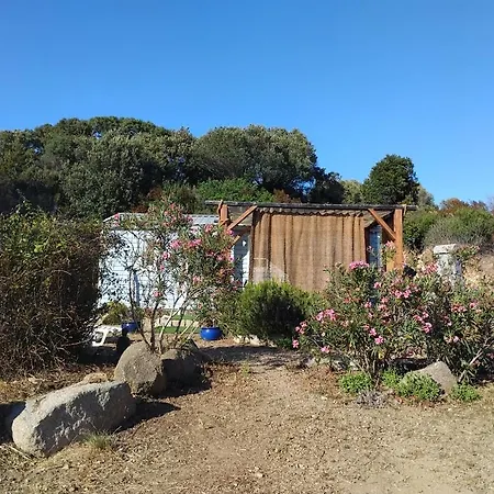 Кемпинг Petit *